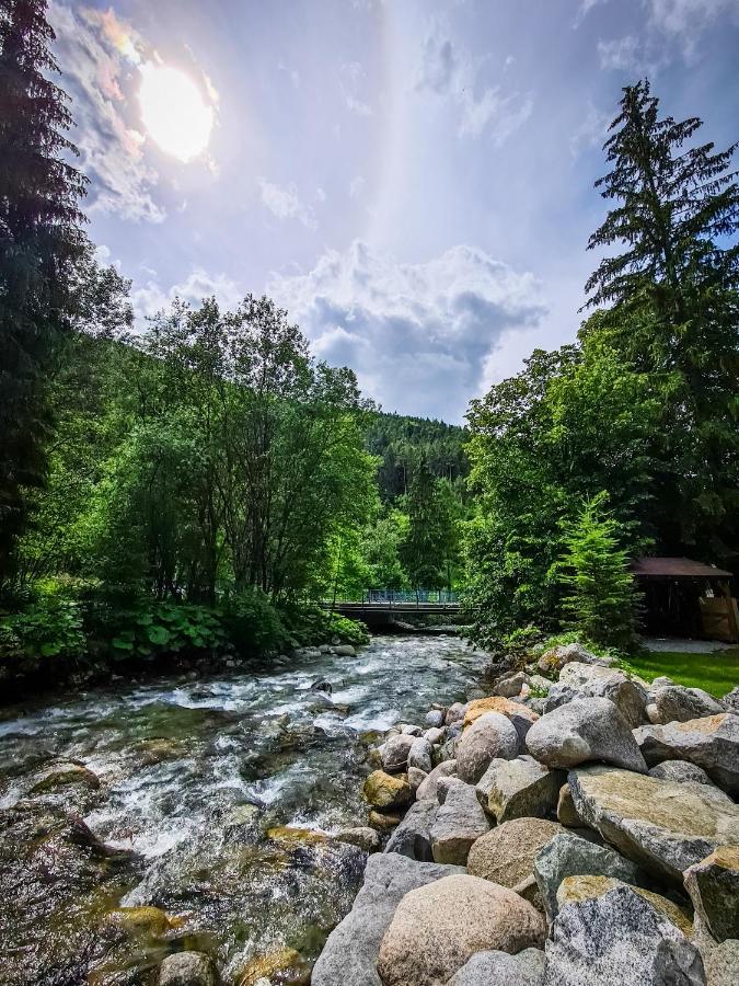 Tatrystay Riverstone Chalets Демановска Долина Екстериор снимка